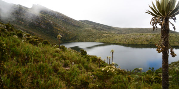 Lagunas-de-Siecha