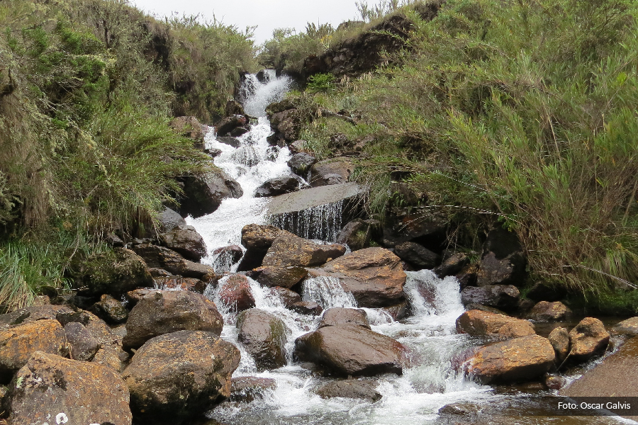 Dia mundial del agua