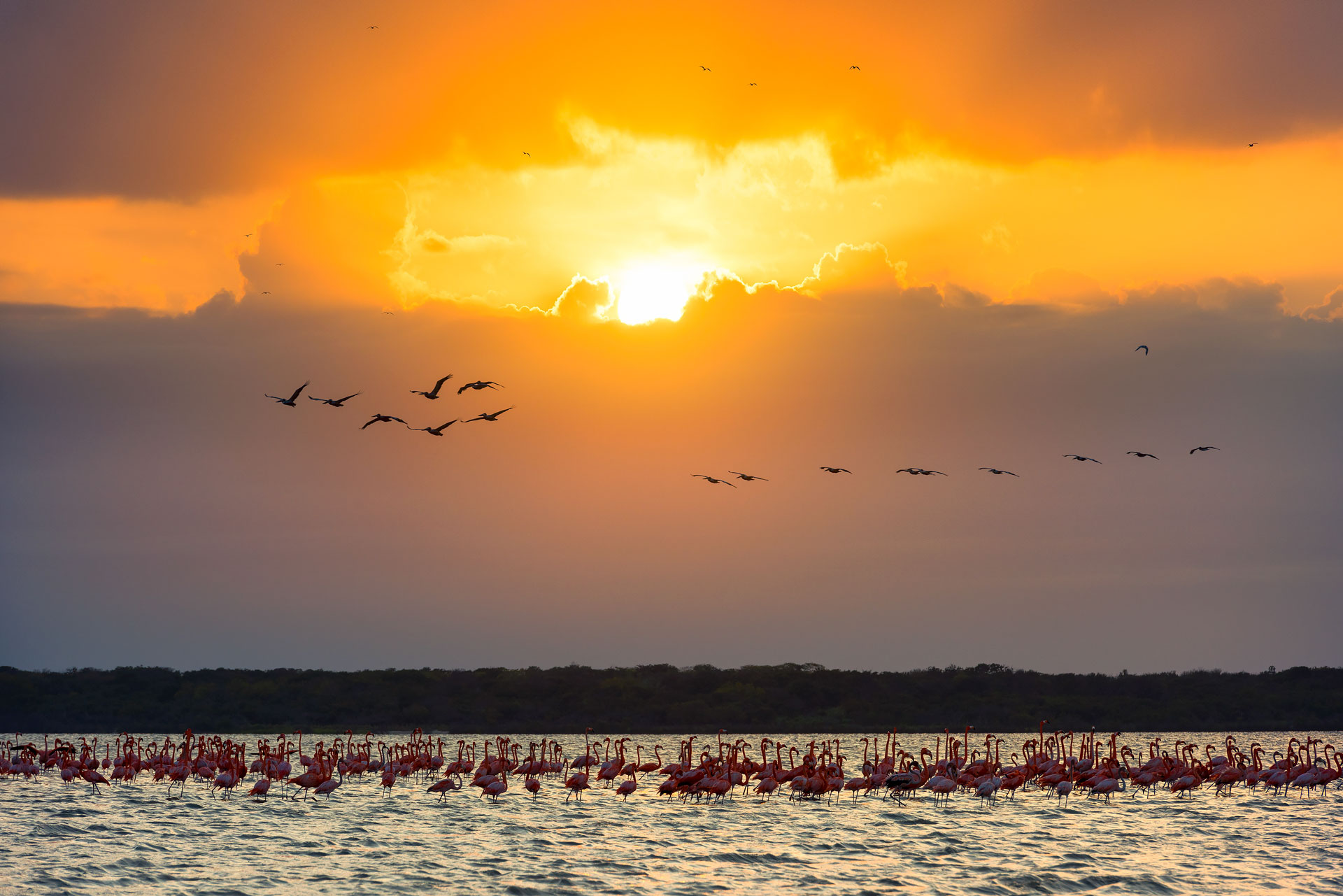 Semana Santa: los mejores planes con la naturaleza en los 21 parques nacionales abiertos al ecoturismo