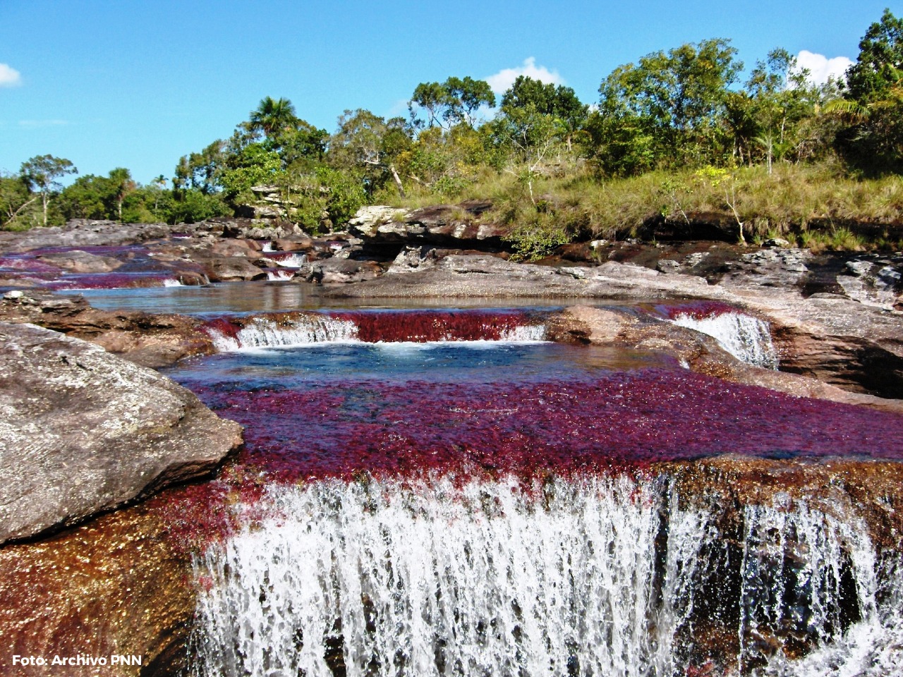 Reapertura del Parque Nacional Natural Sierra de la Macarena