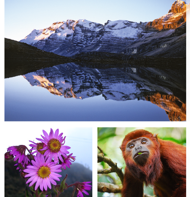 Parques Nacionales Naturales presenta los avances y logros de la entidad en materia de conservación y protección de las áreas protegidas.